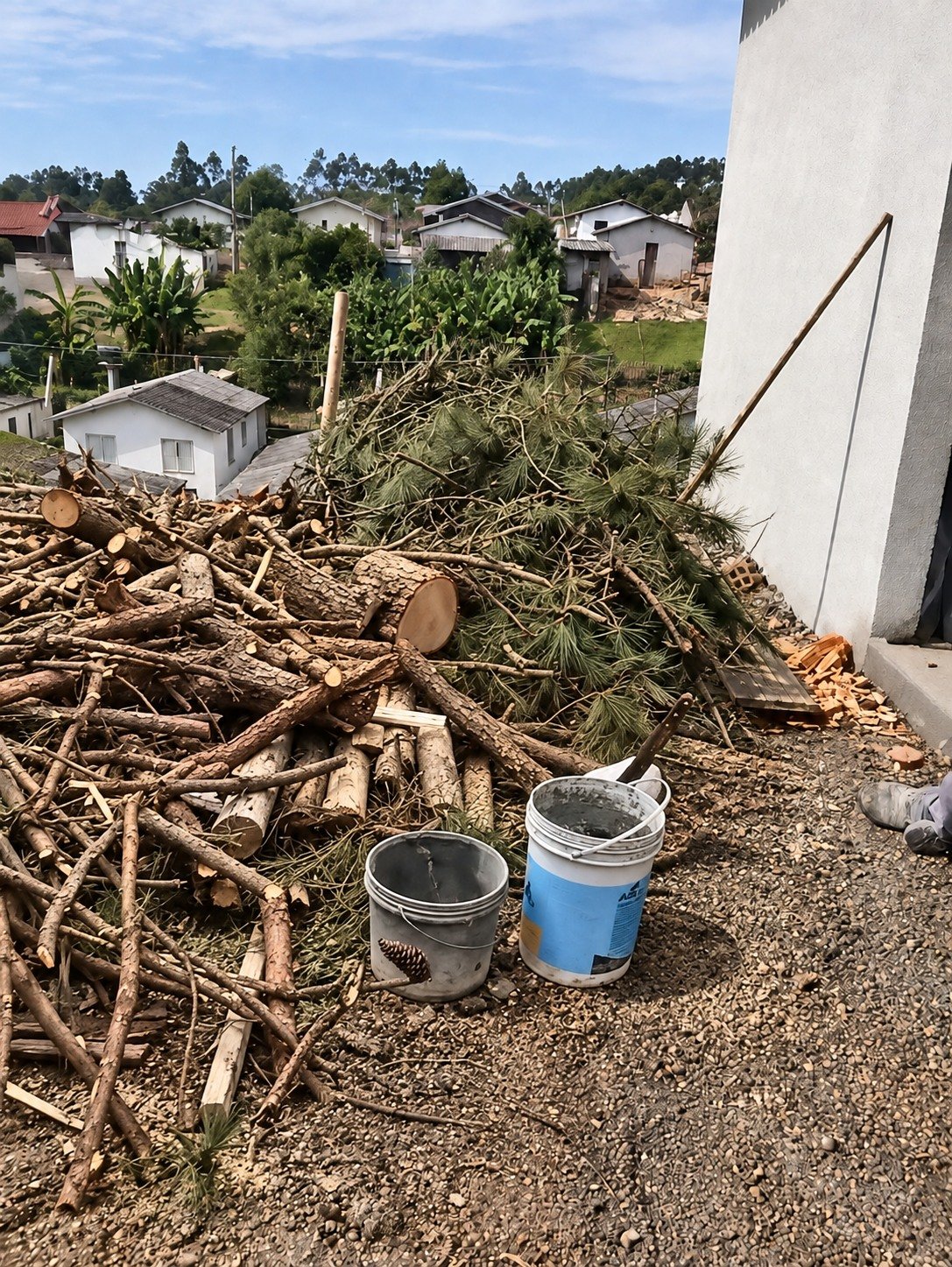 O terreno antes: galhos, toras e restos de árvore