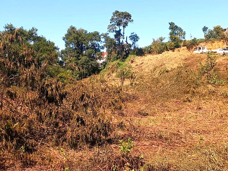 Lote roçado em dia de céu azul, com o mato cortado no chão