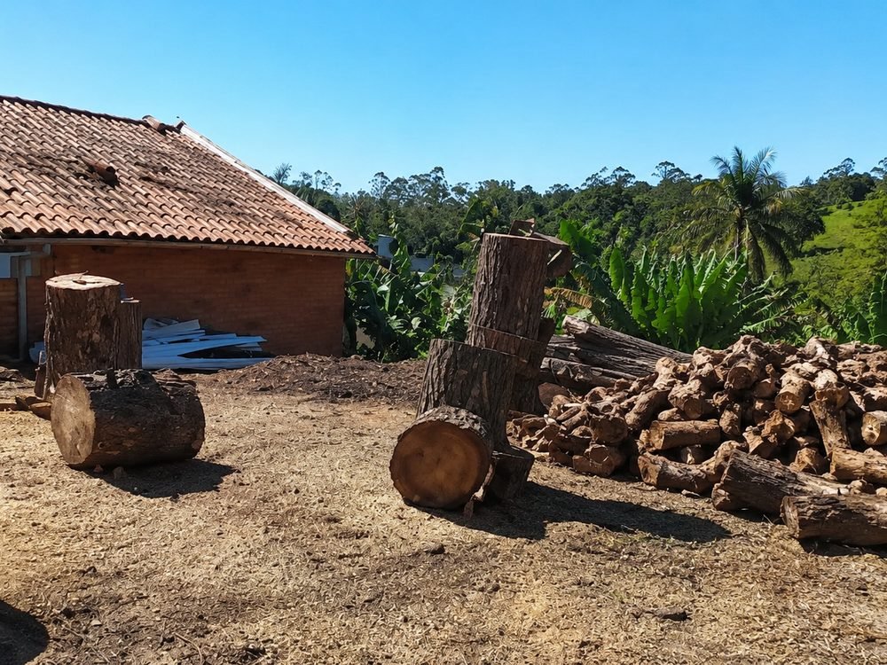 Troncos cortados e lenha empilhada em pátio ao lado de uma casa