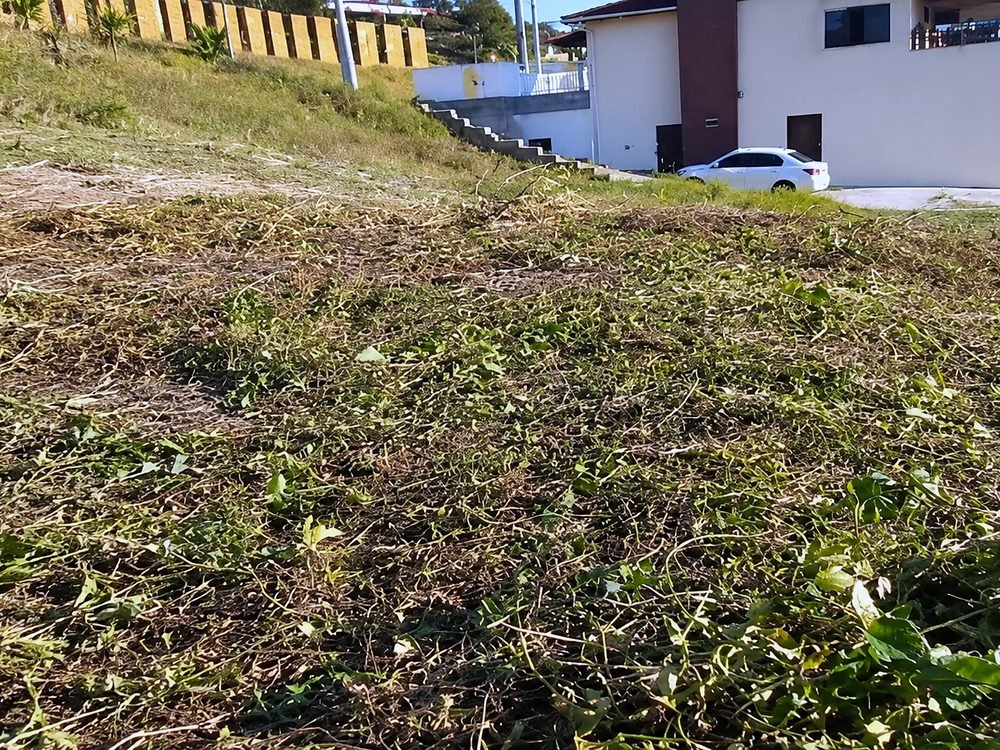 Lote urbano roçado, com a vegetação cortada espalhada pelo terreno e uma residência ao fundo